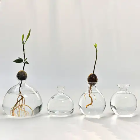 투명한 아보카도 수경 꽃병, 간단한 유리 씨앗 스타터, 식물 꽃병, 아로마 테라피 병, 씨앗 재배 키트, 멋진 선물