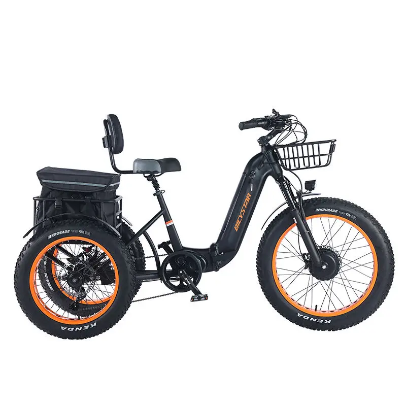 

20 Inch Europe Electric Tricycle for Adults Cheap Tricycle E Bicycle for Adults
