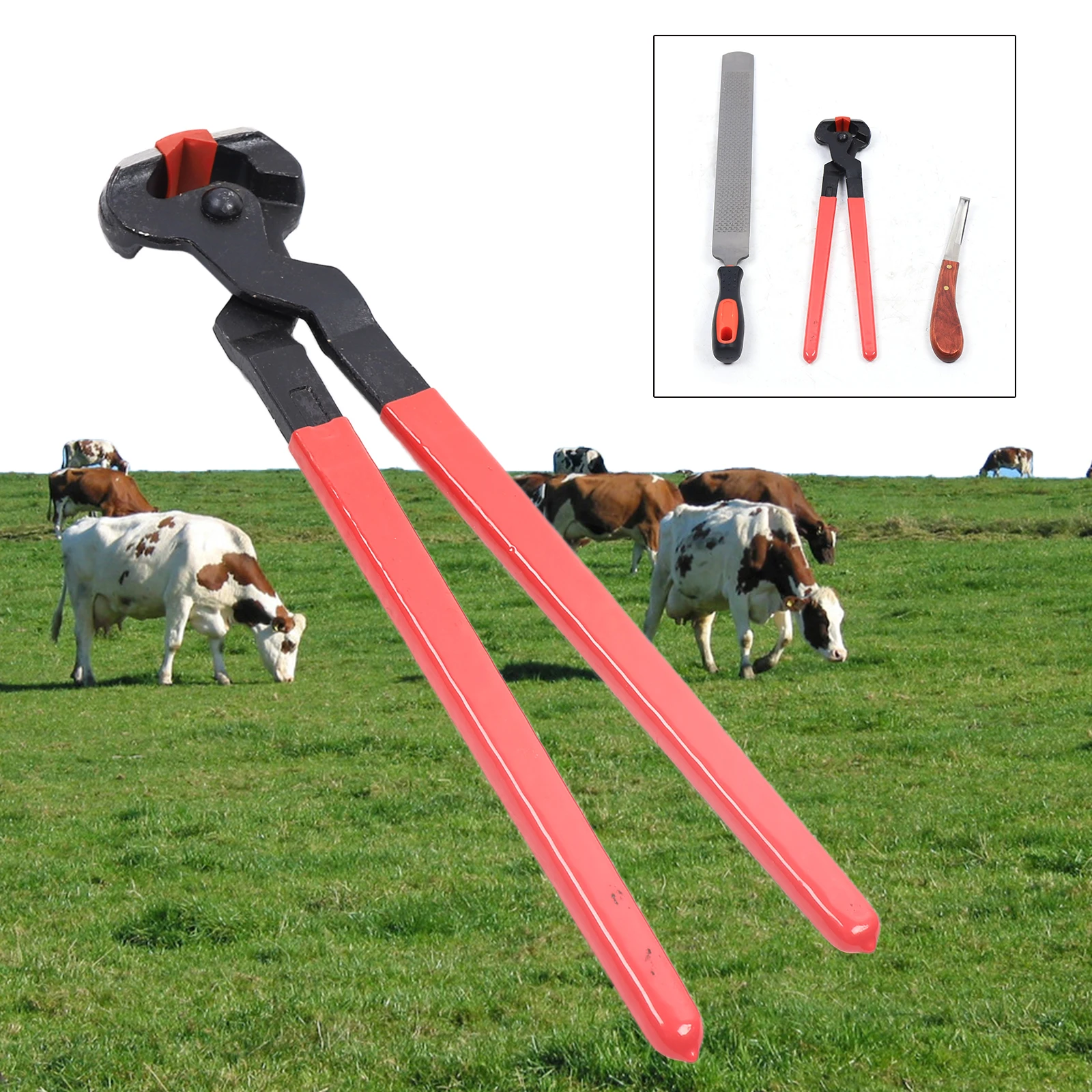 

3 in 1 Horseshoe Hoof Trimming Repair Tool Set File Rasp Cutter Knife Horse Hoof Nipper Horse Hoof Cutting Pliers