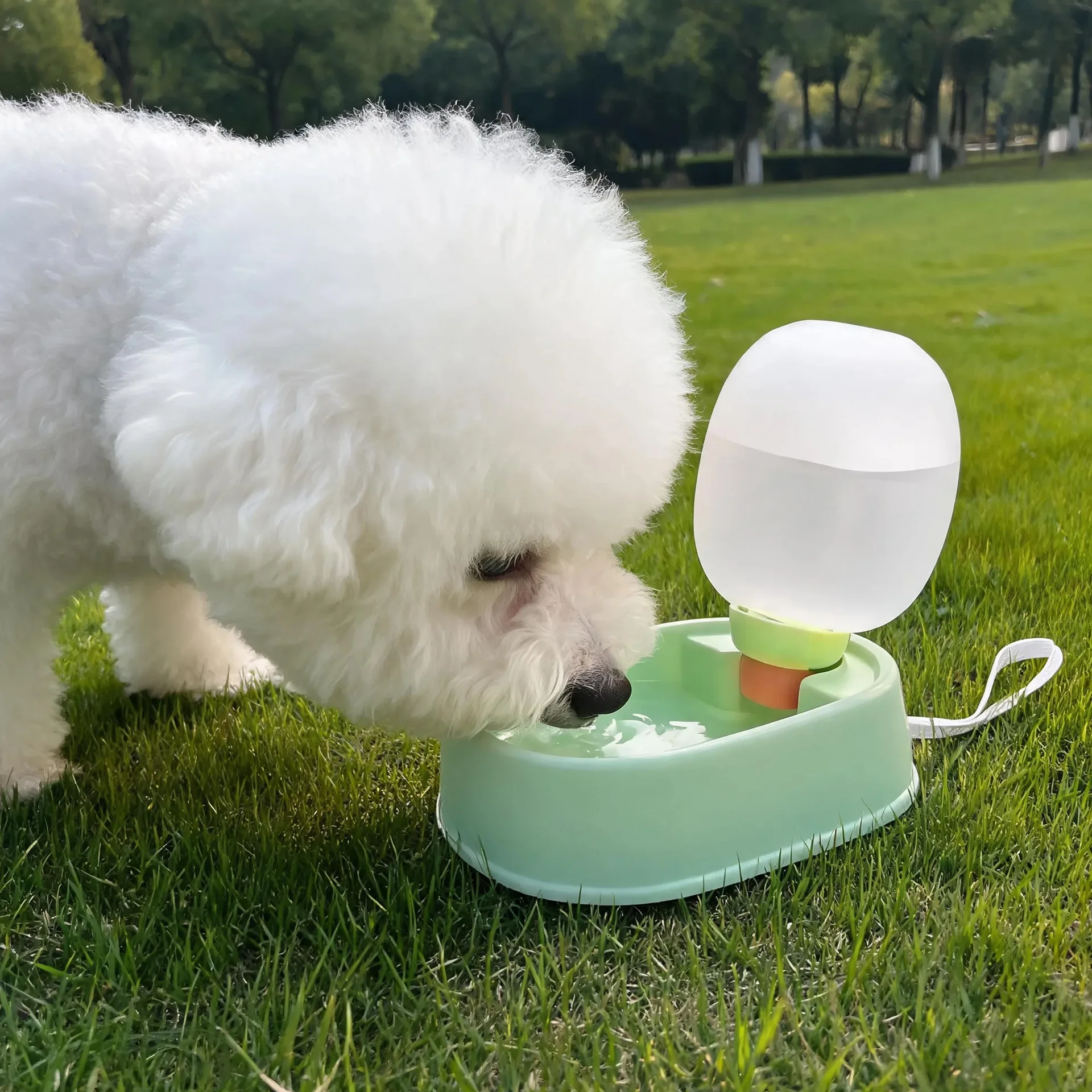 Pet Water Bottle for Dogs Cats - Food Storage Hiking ulasan dan harga