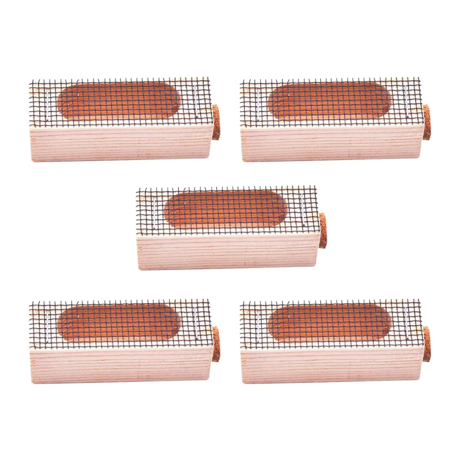 5Pcs Wooden Queen Bee Cage Transport Cage Catcher Cage Isolator Rearing Box Roller Cage Catcher Protection Case