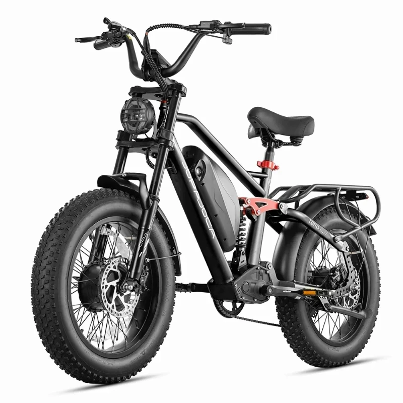 20 inch tire full suspension system Urban commuting e-bike Electric bicycle 1000W motor 48V 20AH lithium battery Electric bike