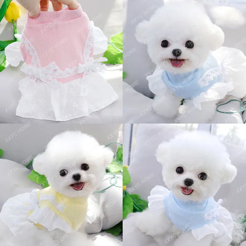 

Dog Clothes Puppy Dog Skirt Spring and Summer Thin Pet Small Pet Cute Clothes