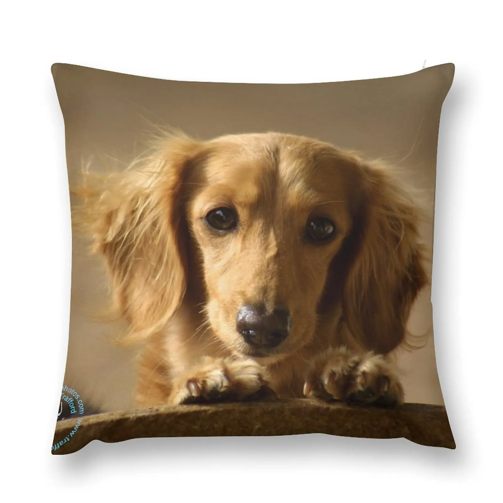 

Dachshund Throw Pillow Embroidered Cushion Cover pillow pillowcase Cusions Cover pillow