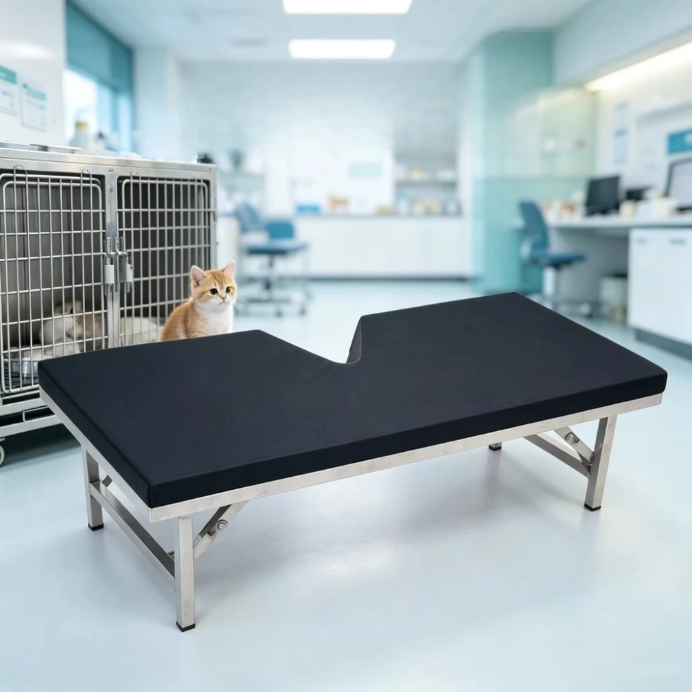 Veterinary Equipment Pet Ultrasound Examination Table W550 L1100 H254mm Fixed Height Veterinary Clinic