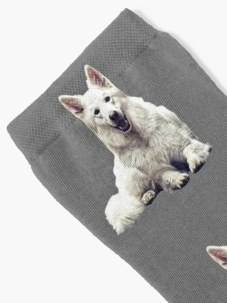 White Swiss Shepherd Dog Socks Sports Socks For Men