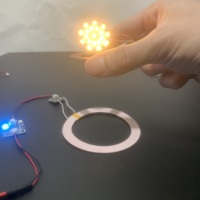 12V Maglev Wireless Power Supply Transmitter Coil Induction Wireless Receiver LightLED  DIY Magnetic Levitation Moon Lamp Globe