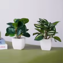 Fake Plants Bonsai