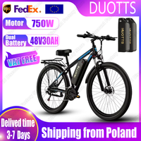 Electric Bicycle C29 750W Powerful Brushless Motor 48V30AH Dual Removable Battery Adult  E-bike 29 Inch Tire City Electric Bike