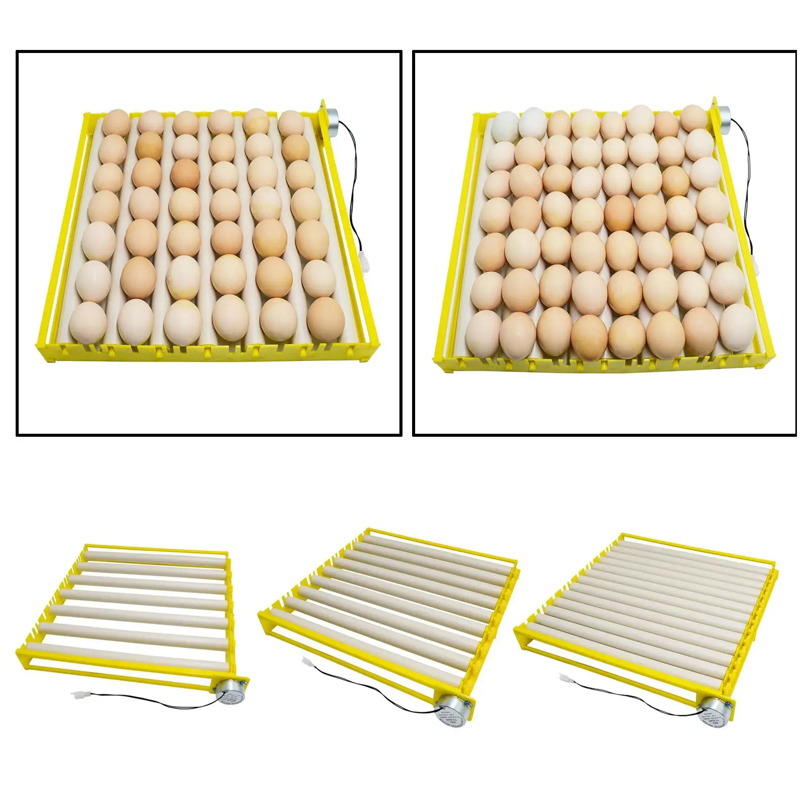 Egg Turning Tray, Egg Incubator Egg Turner Tray with Automatic Turning Motor for Hatching Chicken Duck Bird Quail Poultry(220V)