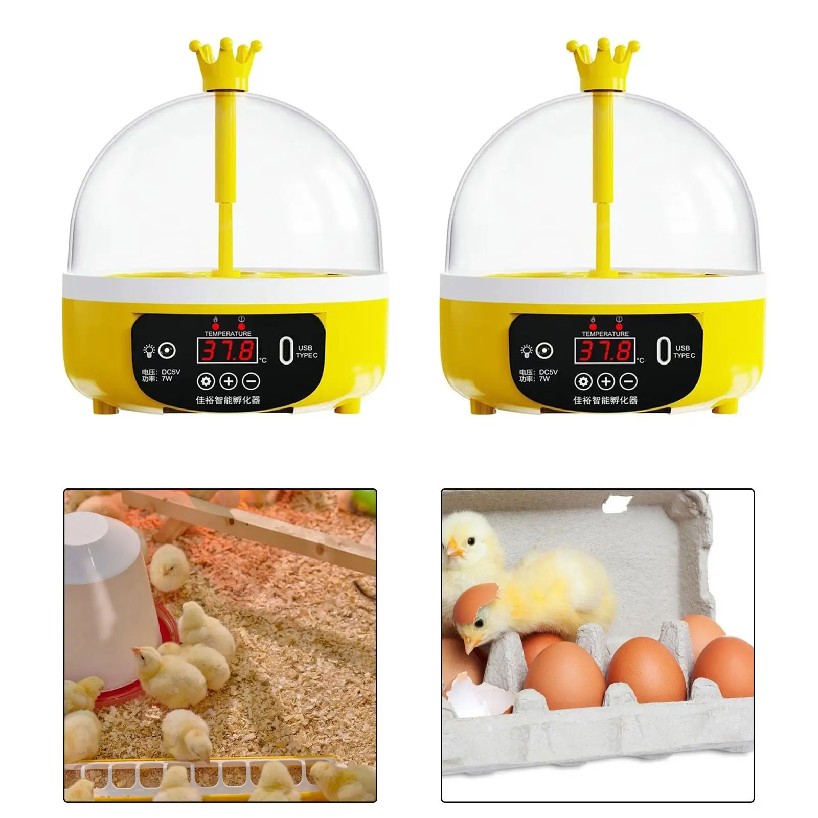 Digital Egg Incubator Hatching USB Poultry Hatcher for Chicken Birds Pigeon