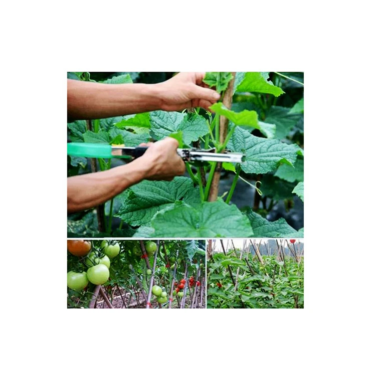 2025年激安セール テープトマト蔓結束機 枝結束装置 きゅうり結束機 プランター ガーデン 果樹園 結束テープツール