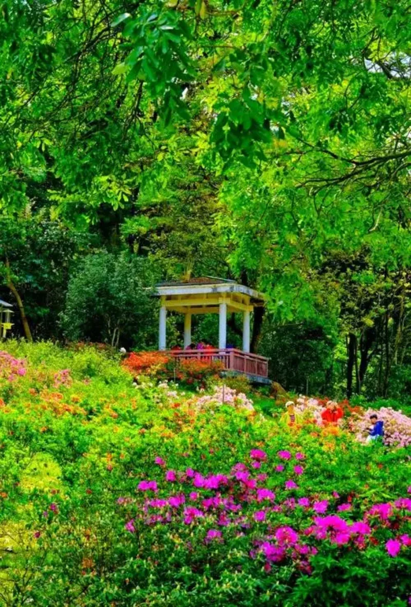 

Paint Pen Supplies Modification Accessories Car Paint Scratch Repair Car Scratch Remover Paint Repair Set For Benz S-Class