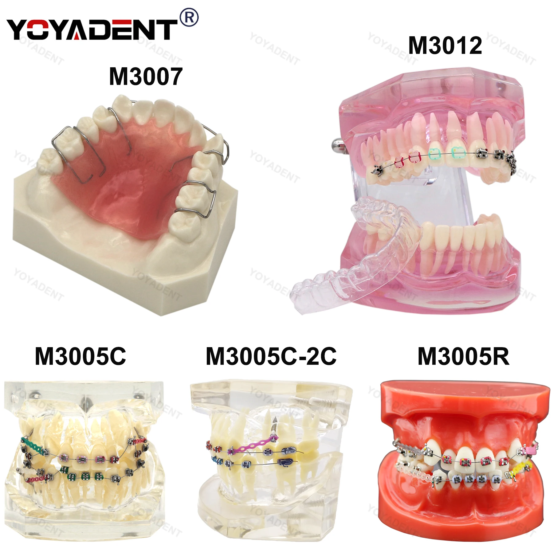 

Стоматологическая ортодонтическая модель зубов, металлические/керамические брекеты, размер 1:1, модель Typodont для образования пациентов, демонстрационные стоматологические инструменты