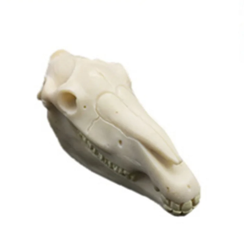 

Horse Head Bone Landscaping Aquarium Small Fish Tank Decoration Household Hideout House Shrimp Tiger Stone Resin Pet Ornament