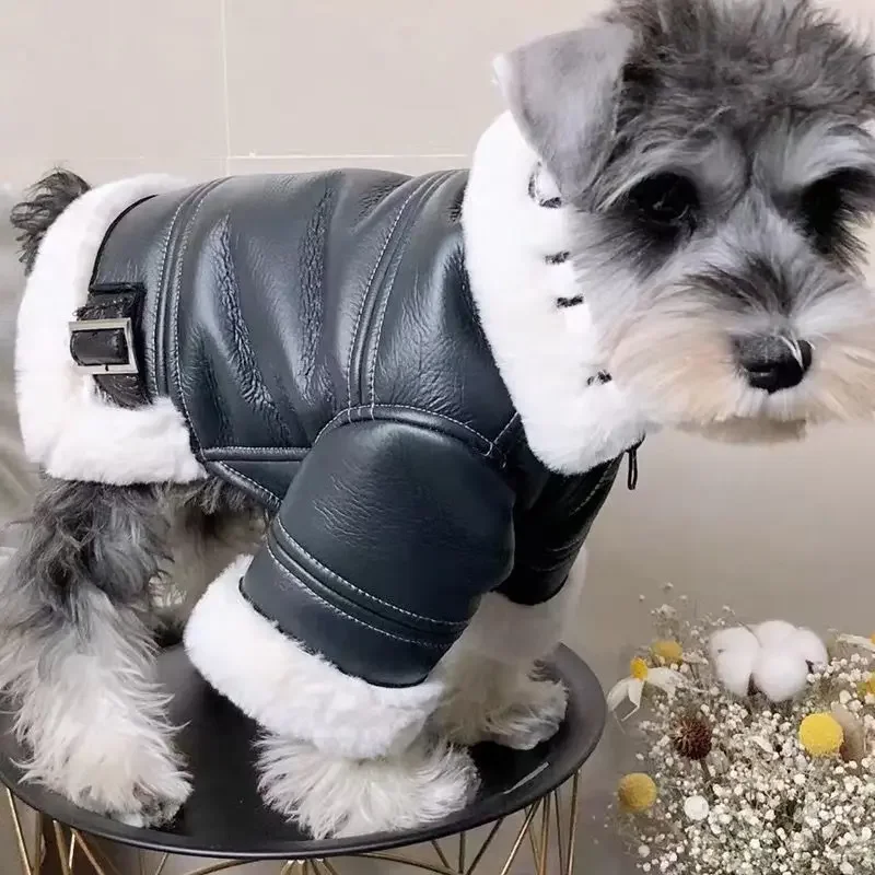 

Модная одежда для маленьких собак, зимняя одежда, утепленная меховая мотоциклетная куртка для собак Тедди, померанского шнауцера PC2452