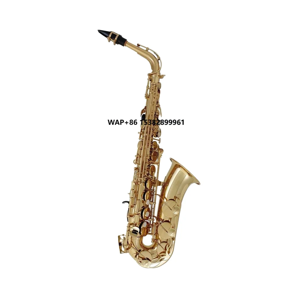 

Wholesale Best Price Professional User Alto E-Key Saxophones with Full Sets Accessories