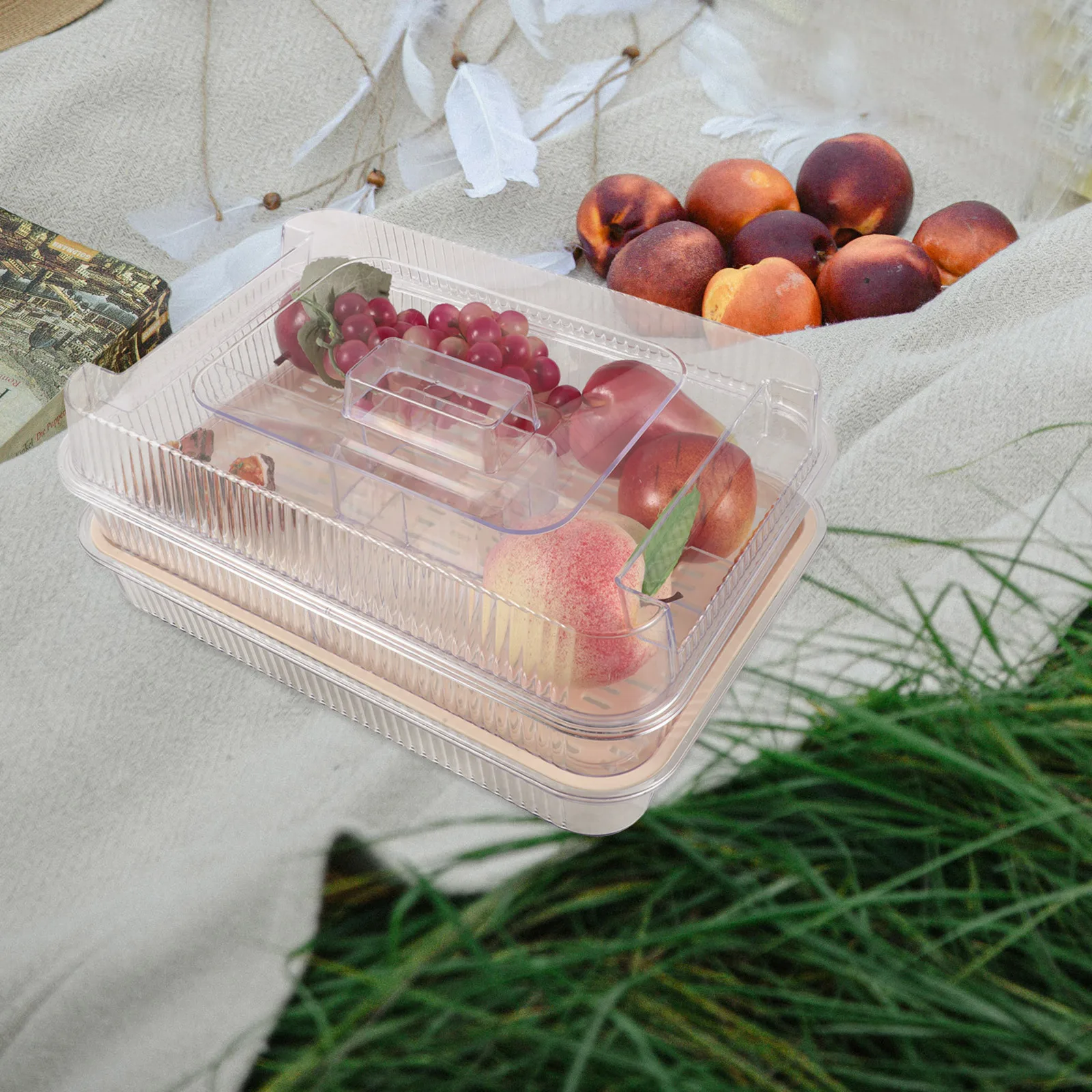 

Chilled Clear Plastic Serving Tray Party Platter Veggies Appetizer Ice Charcuterie Boards Cold Food Serving Outdoor Picnic