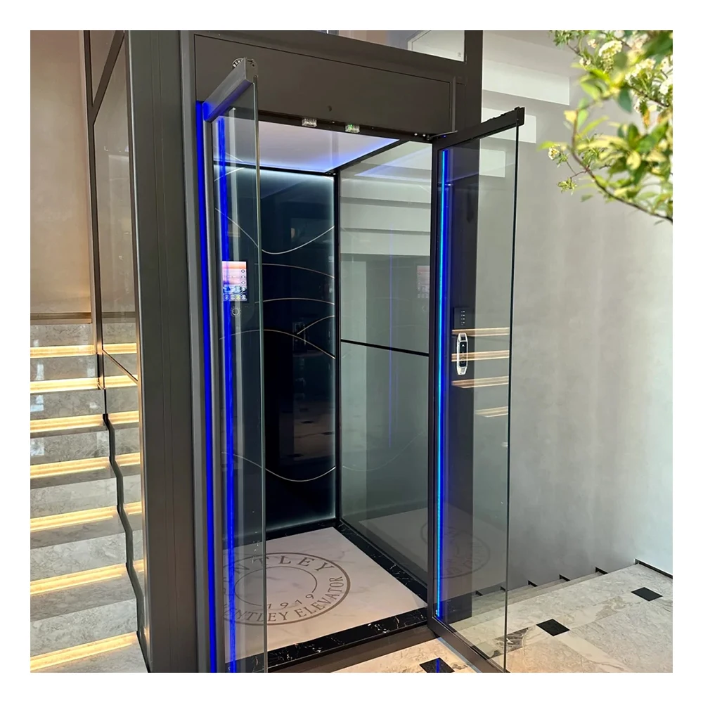 Goog Price 400KG Load 3 m Height Mini Electric Home Lift Outdoor Small Use Home Elevator