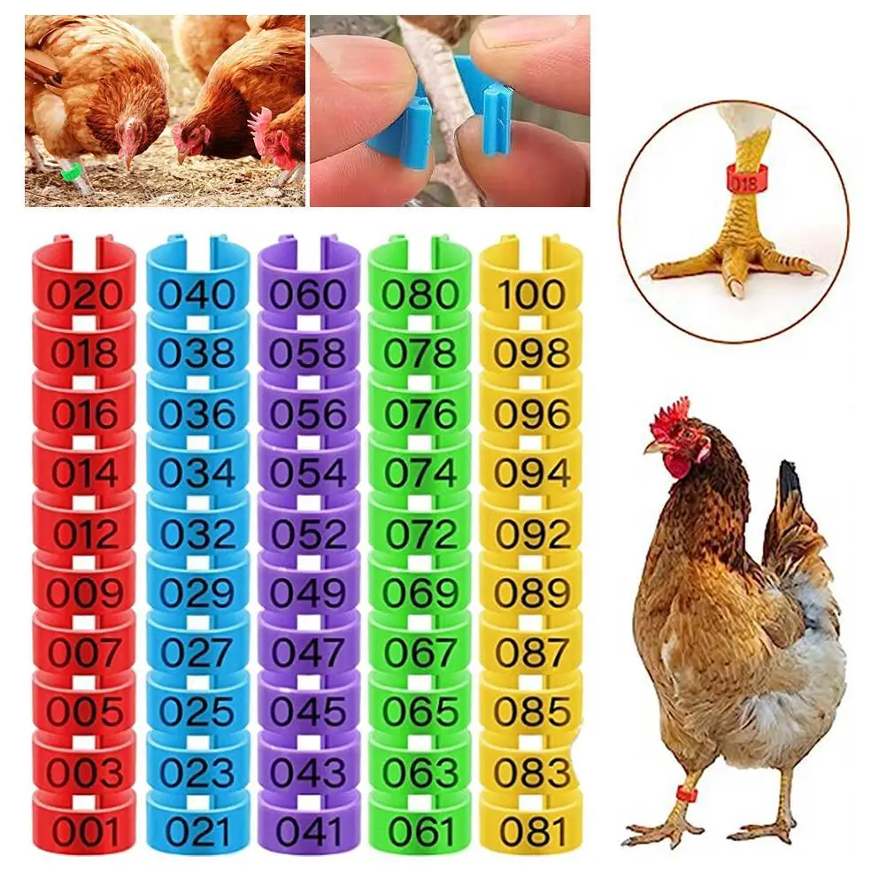 

100PCS Chicken Foot Adjustable Size Poultry Leg Digital Label Buckle 5 Colors Plastic Chick Duck Goose Farm Equipment