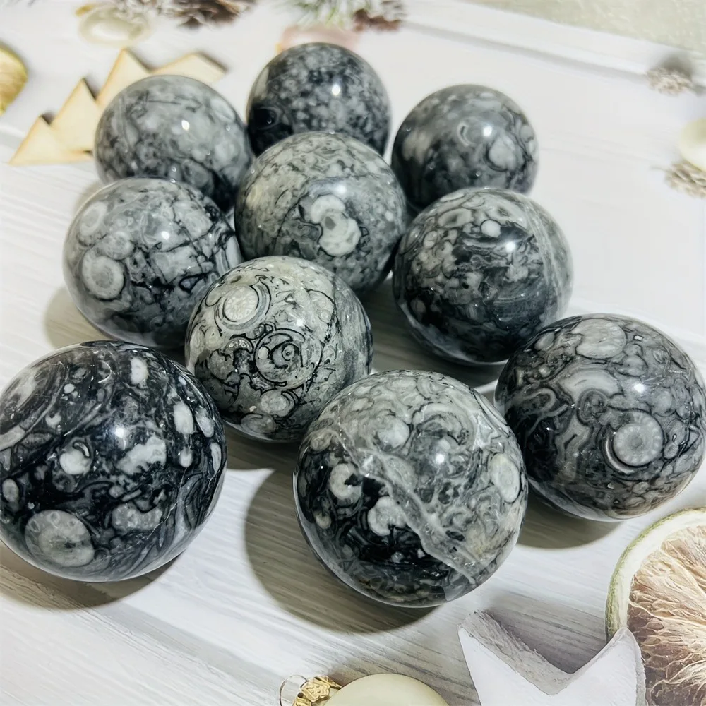 1pc Natual Crystal Quartz Sphere Featuring a Pattern Sea Lily Crinoid Ammonite Ball Witch Supplies Ornament Home Decoration