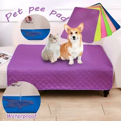 Waterproof Reusable Dog Pee Pad Absorbent Super Washable Pet Pee Mat Cat Puppy Training Mat Pet Supplies for Car Seat Cover