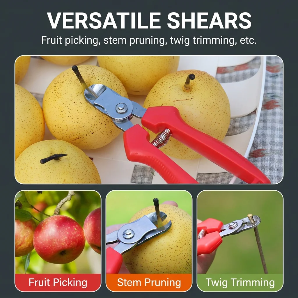 Tijeras para recoger frutas en forma de nido de acero inoxidable, herramienta para recoger frutas, tijeras para recoger cítricos, tijeras de poda para jardín, tijeras para manzanas