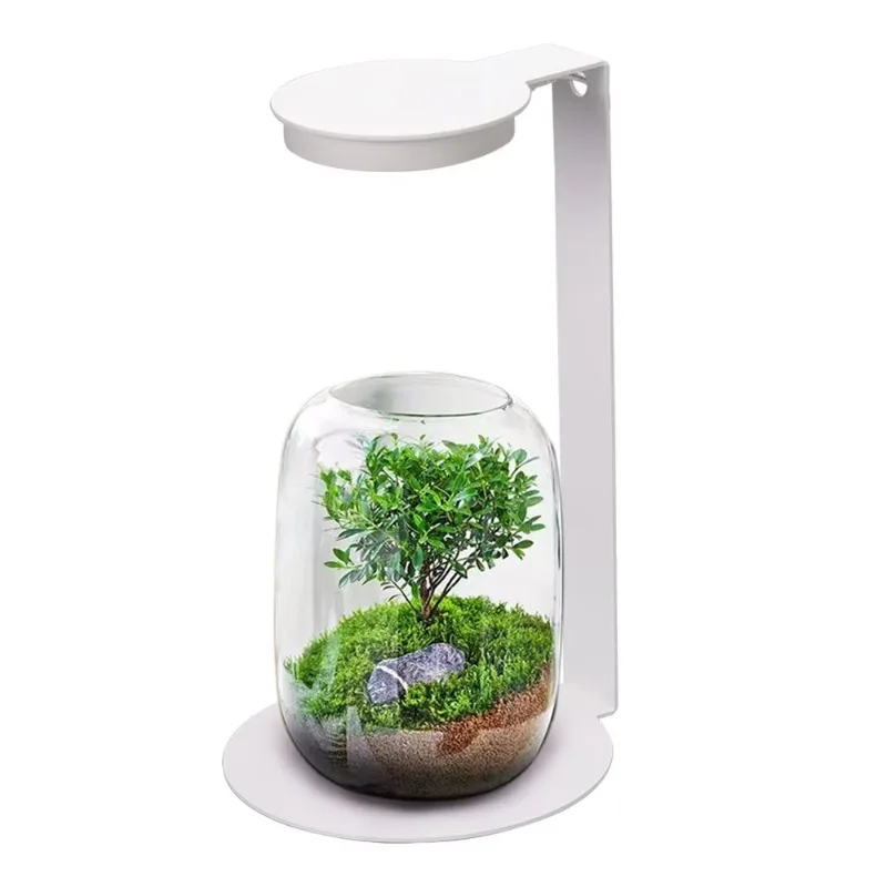 

Absorption Plant Lamp Led Timing Plant Growth Lamp Dimming USB Micro Landscape Fleshy Light on Desk