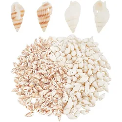 300pcs Seashell Beads 2 Styles Ocean Beach Spiral Shells Craft Sea Shells Charms with 1mm Hole for Jewelry Bracelet