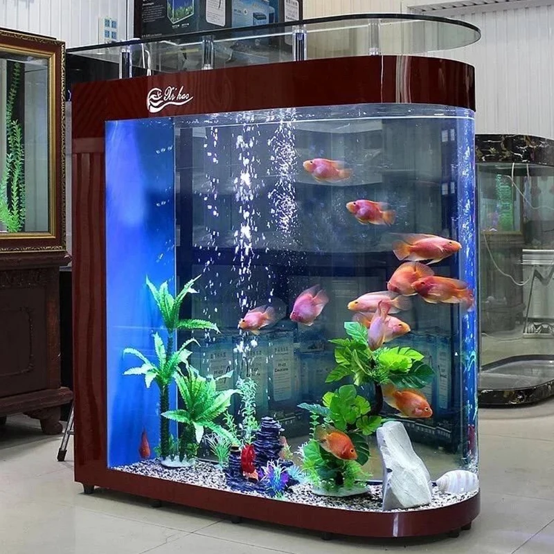 Pared de Pecera: La Solución Definitiva para un Acuario Subacuático Personalizado y Funcional