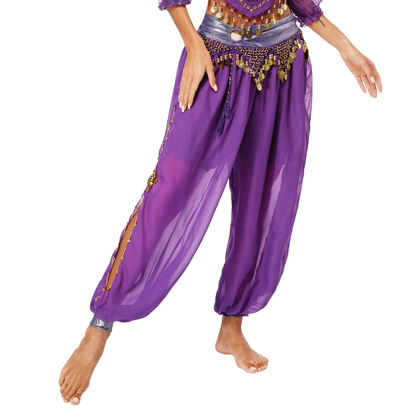 Women Chiffon Belly Dance Harem Pants Arabic Sequins Side Split Pants Fancy Dress Beads Tassels Bloomers Trousers for Bellydance