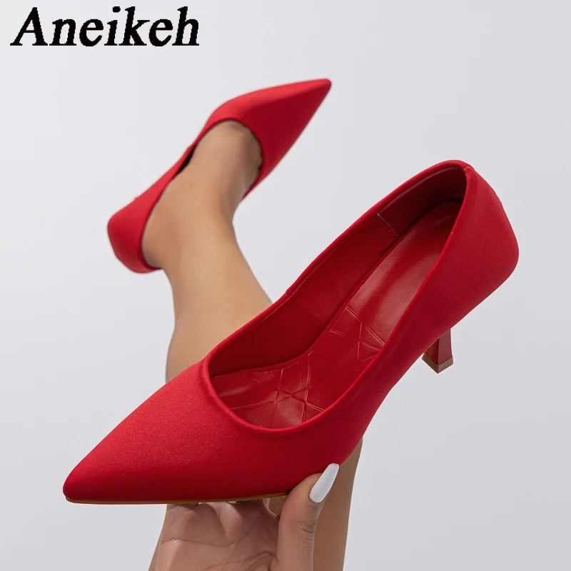 Aneikeh 2024 NEW Pumps Women Concise Pointed Toe Thin Heels PU Slip-On Office & Career Wedding Banquet Dress Mule Ladies Shoes