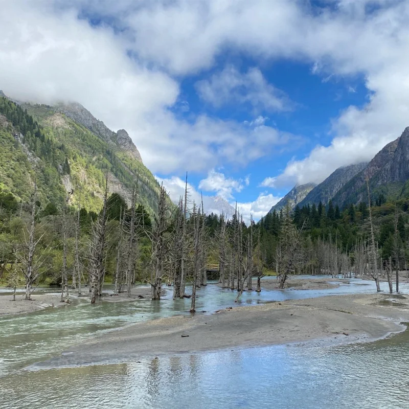 

Full Car Cover for Toyota Tacoma Outdoor Use - Waterproof Snowproof Sunshade, Winter & Summer Auto Protection Accessories