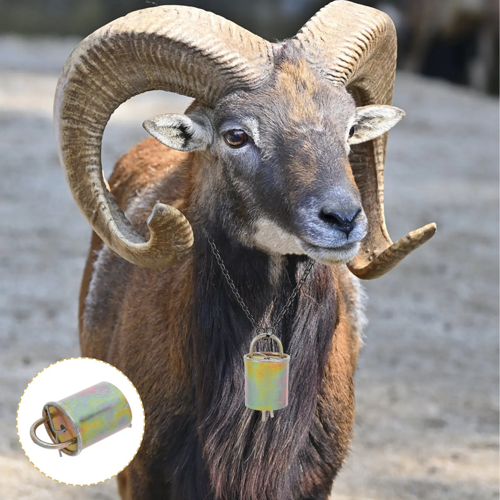 

Набор из 8 металлических железных колокольчиков для коров, коз и овец, громкие звуковые оповещатели, фермерские аксессуары, подвесные колокольчики для управления пастбищами и содержания скота