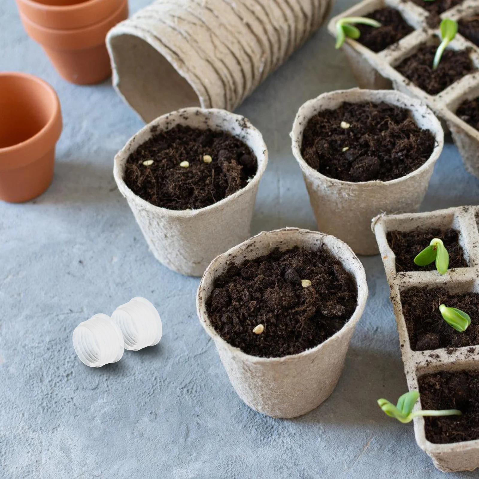

10Pcs Clear Round End Cap Plugs for Vegetable Planters Reusable Plastic Pot Stoppers Garden Balcony Accessories