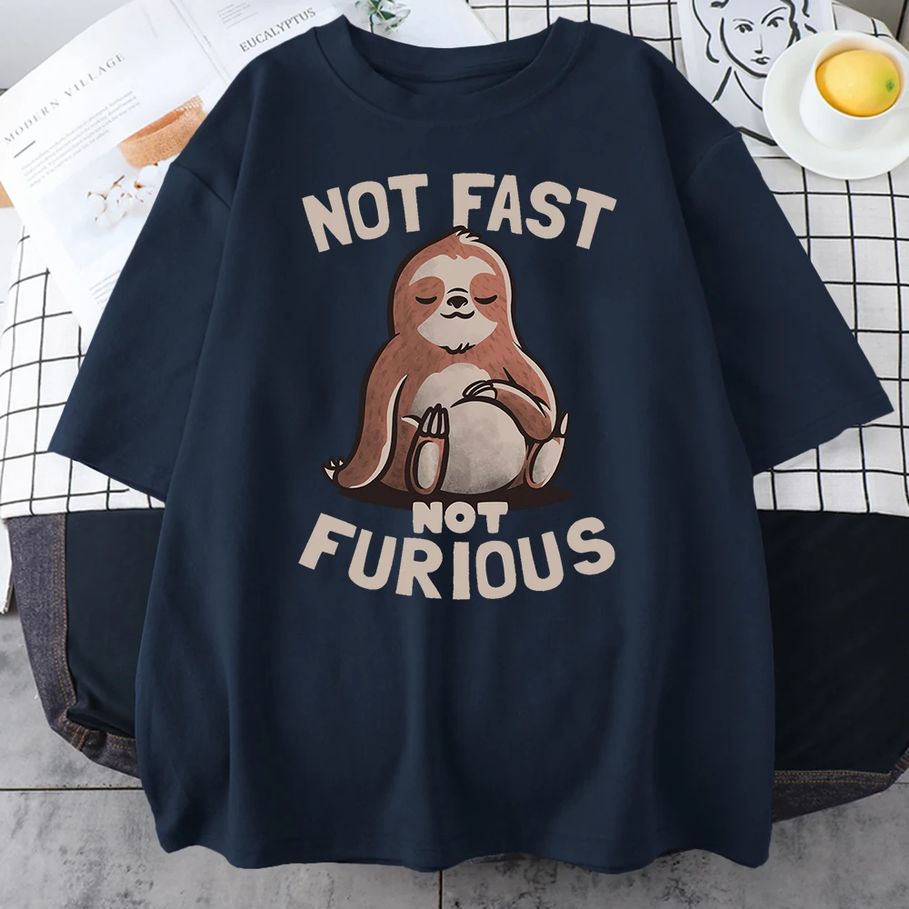 Not Fast Not Furious Kawaii Sloth Print Clothing Men Street Oversized T Shirts Breathable Cotton Streetwear Breathable T-Shirt view 3