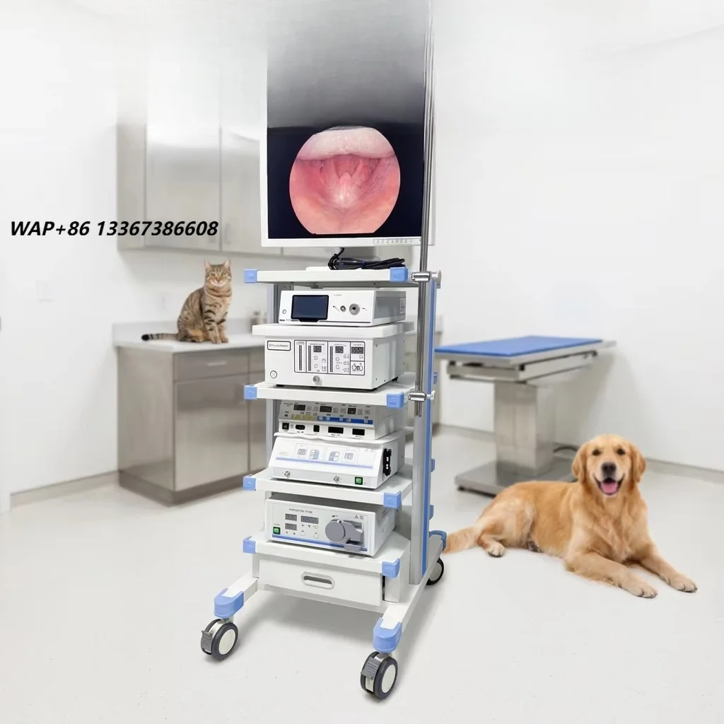 ⚠ AT Veterinary Equipment Pet Medical Equipment Veterinary Endoscopy System Animal Hospital Chain Traction Structure