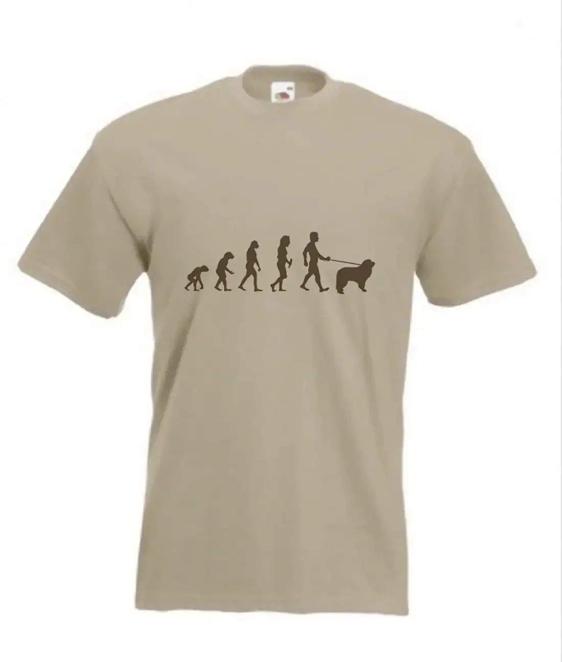T-shirt Evolution To Newfoundland avec chien amusant, disponible en tailles Sm 2XXL