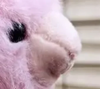 Kreskówkowy Śliczny Pluszowy Wisiorek Alpaka Lalka Alpaka Mały Wisiorek do Torby Brelok Pluszowa Zabawka