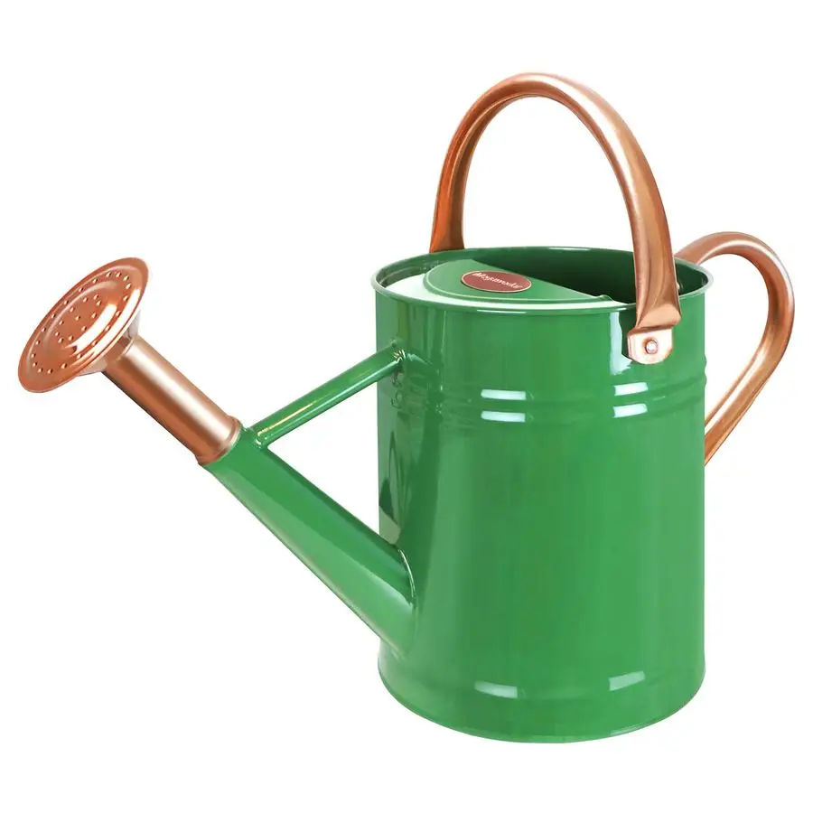 

Gallon Metal Watering Can with Removable Spout, Nice Galvanized Steel Water Can for Indoor and Outdoor Plants House Plants