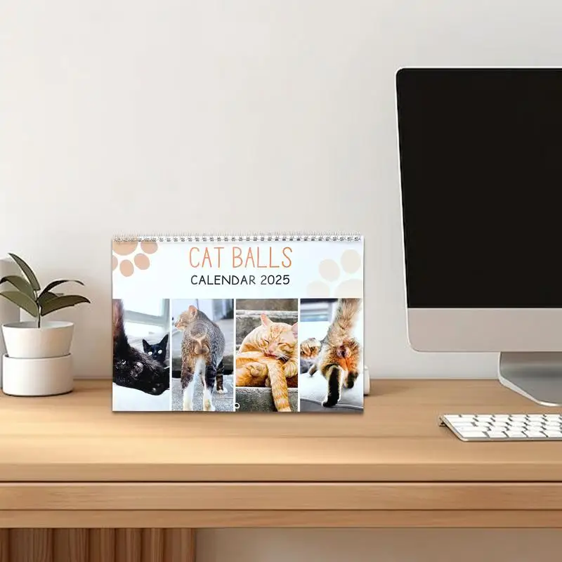 Funny Cat Calendar Hilarious Cats Photos 12-Month Calendar Home Decoration Hangable Schedule Planner Vertical Square Calendar