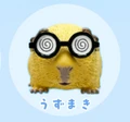 Spiral glasses