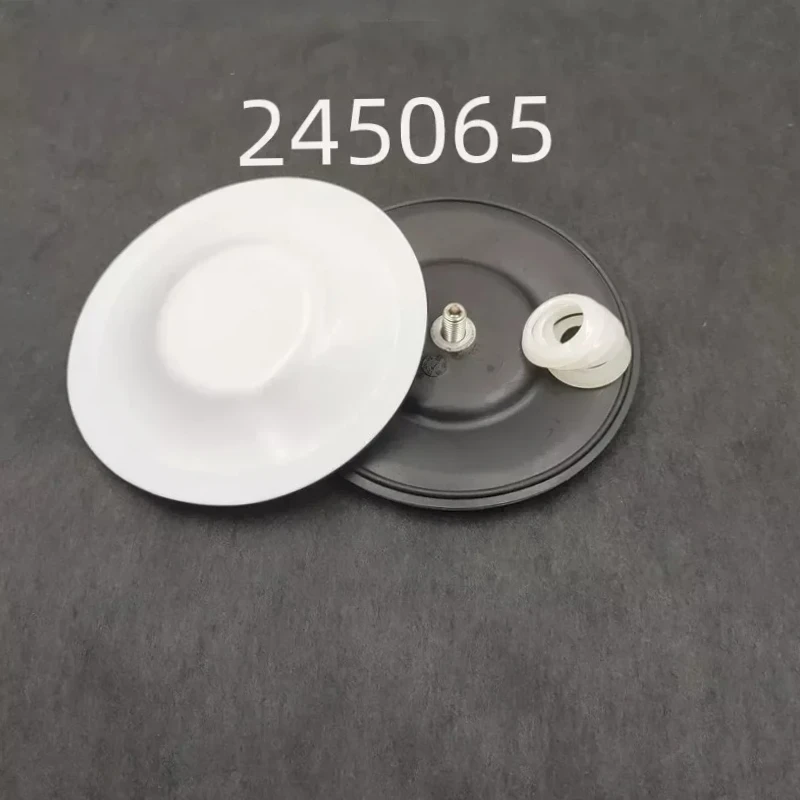 24A155 ボールチェック修理キット 245067 245066 308 ダイヤフラムポンプ ダイヤフラム修理キット 245065 シャフトおよびベアリング修理キット