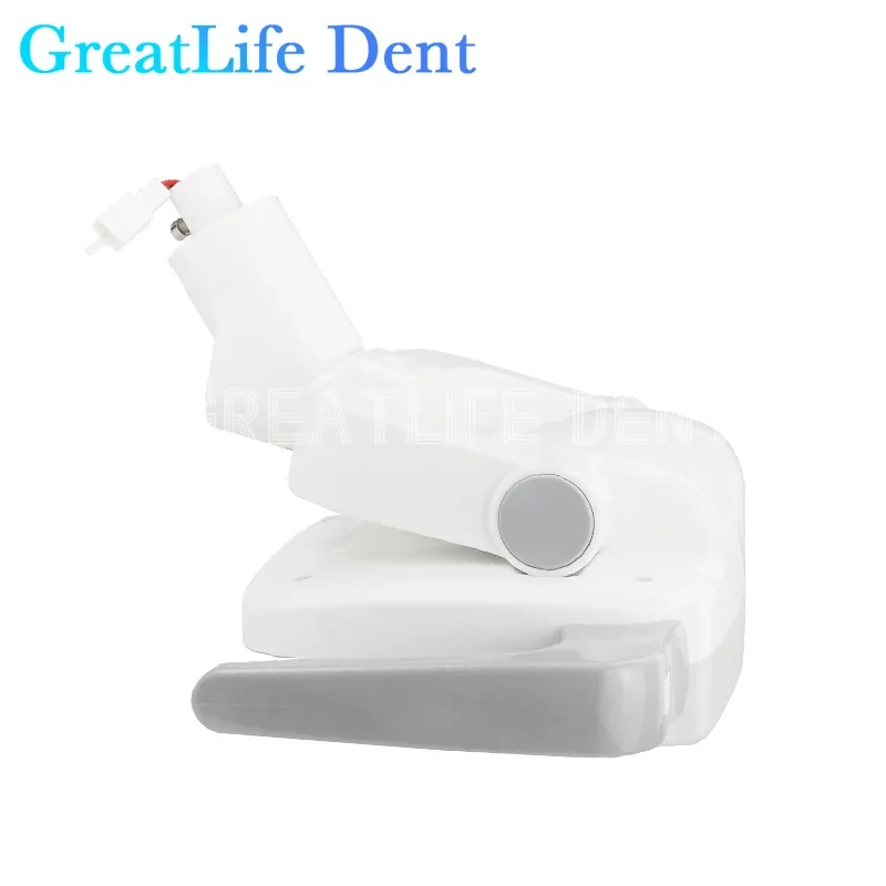 GreatLife-Unidad de silla Dental Dent 6 LED, operación Oral, lámpara quirúrgica, luz Led