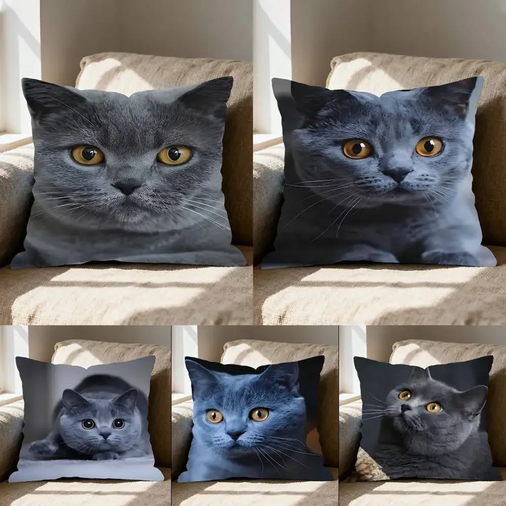 British Shorthair Russian Pillow Case Elegant Couple Home Living Room Bedroom Decorative Rectangle Pillowcase Sofa Cushion Cover