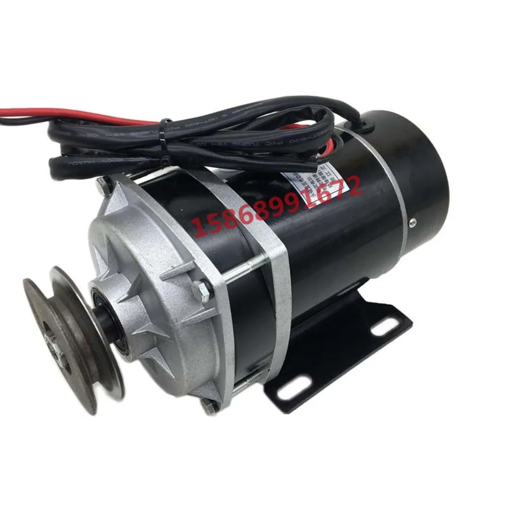 Portable life-saving thrower for waUnite DC Brushed Pulley Motor 450W48V36V24V600W Meat Grinder Amusement Agricultural Machinery