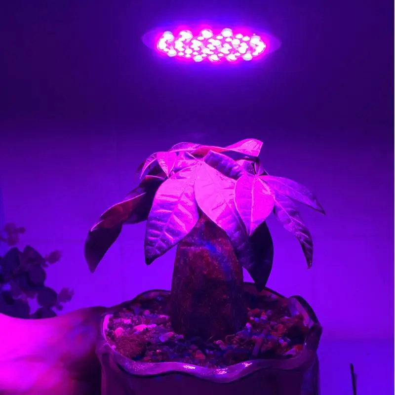 หลอดไฟ LED แบบเต็มสเปกตรัมสำหรับปลูกพืชดอกไม้ Grow หลอด LED 28หลอด UV IR สำหรับระบบไฮโดรโปนิกส์ B4ผัก