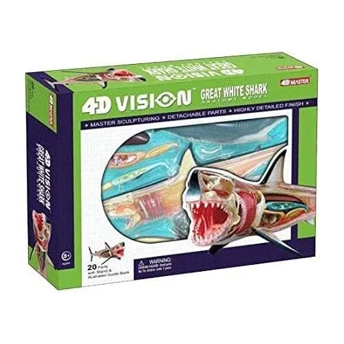 4D Vision Great White Shark Anatomy Model