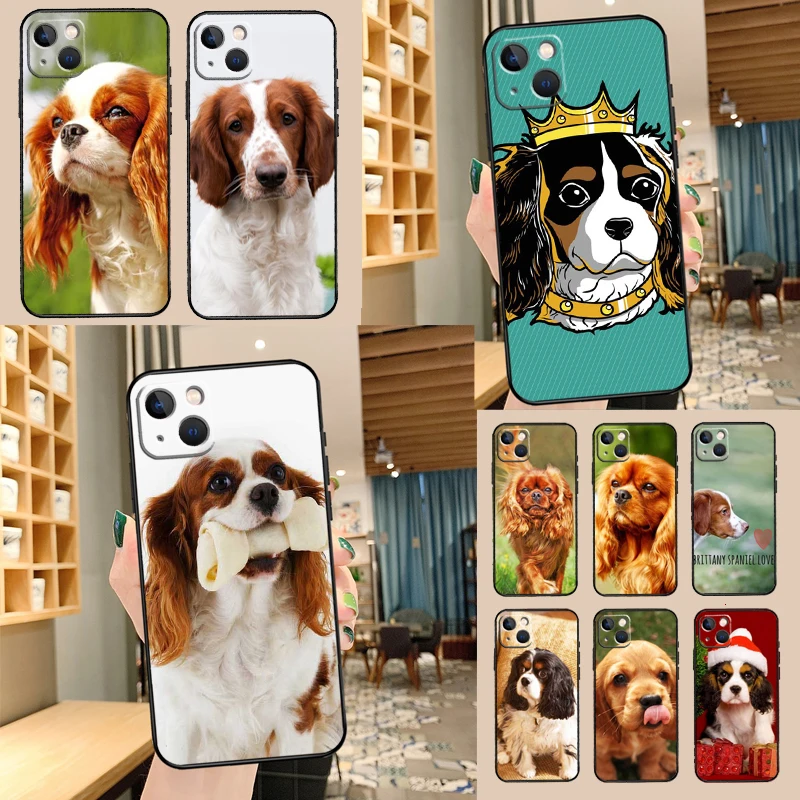 Cavalier King Charl… - image