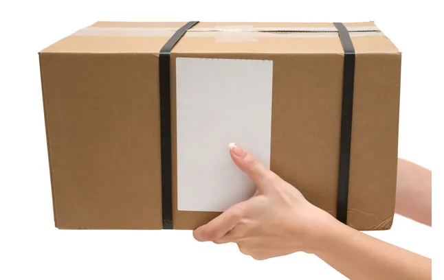 Módulo original do interruptor do relé do PLC, 1111-002-105, novo